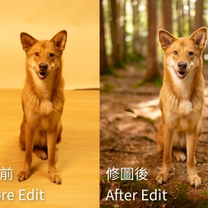 【PS修圖服務】9bstudiohk究極精修服務 - Image 8