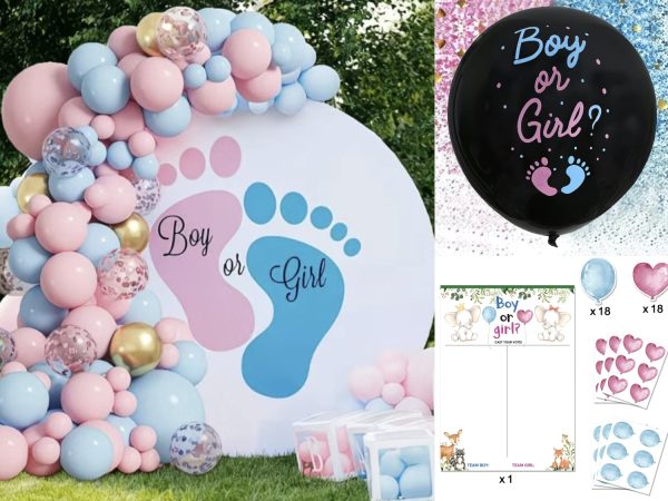 【派對用品出租】性別揭曉派對 Gender Reveal Party 主題佈置 生日  百日宴 佈置 (推廣超多優惠進行中)